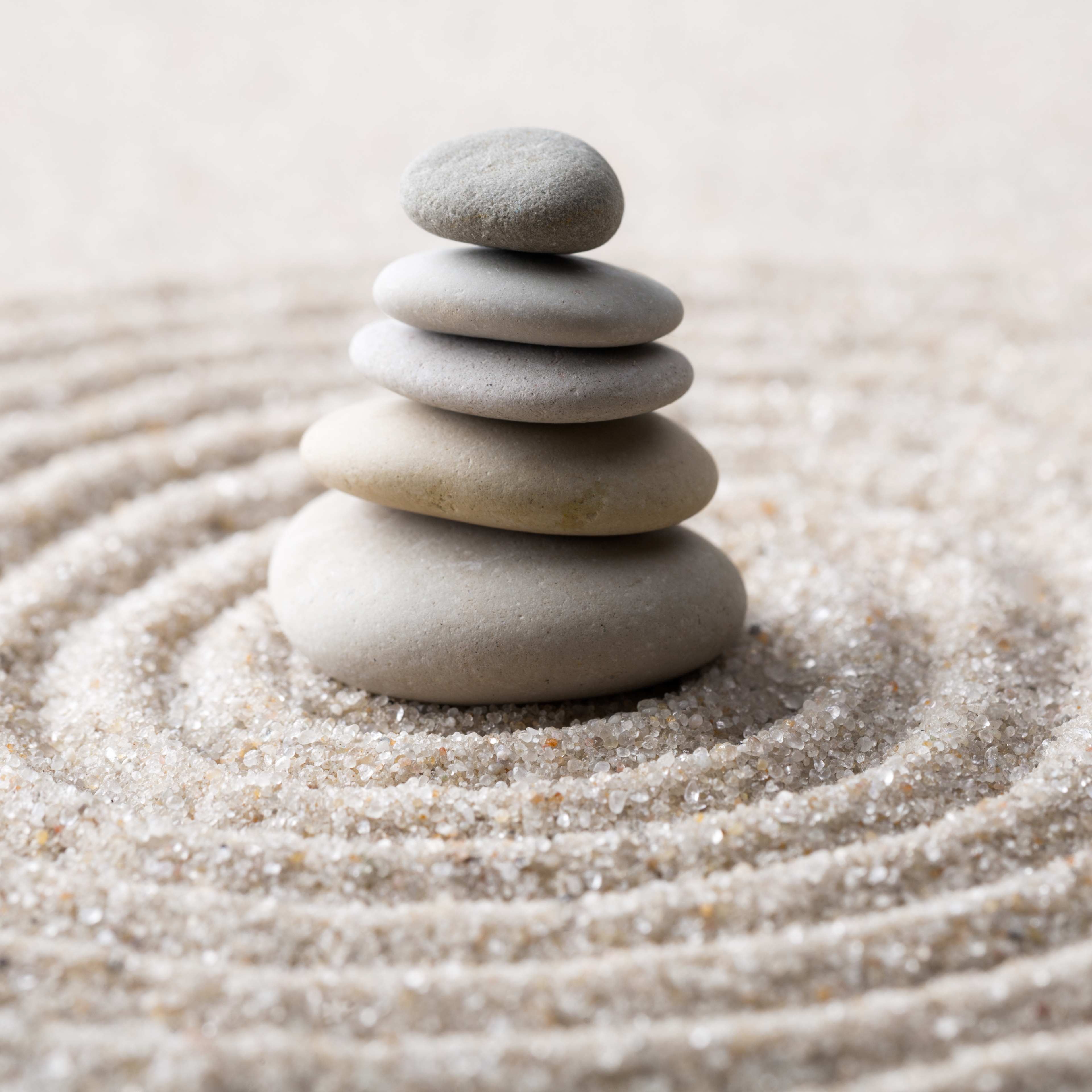 Photo de Dominique BOURRELIERE